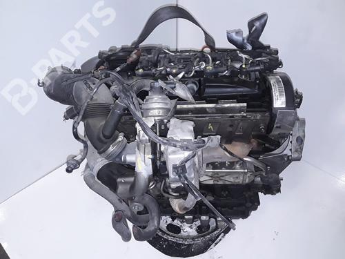 Engine VW GOLF VI (5K1) 1.6 TDI | BP11799190M1  - Image 6