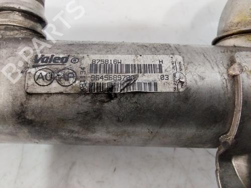 Egr FIAT SCUDO Van (270_, 272_)  | BP29962762M69