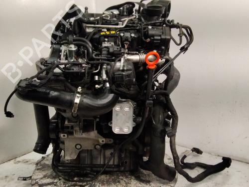 Motor VW POLO V (6R1, 6C1) [2009-2022]  24151427