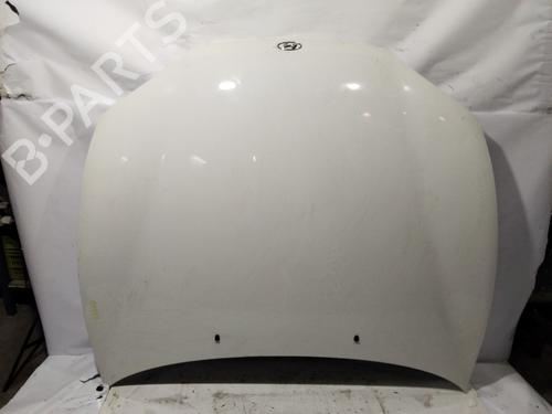 Panser HYUNDAI COUPE I (RD) [1996-2004]  31704861