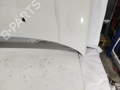 Hood LAND ROVER FREELANDER 2 (L359) | BP30927012C1