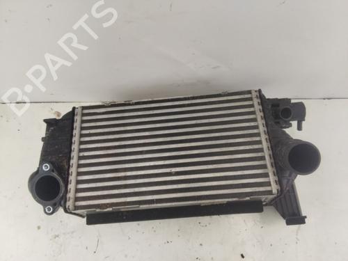 Intercooler HYUNDAI TUCSON (NX4E, NX4A)  | BP24310740M30 
