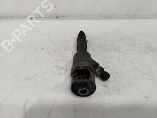 Injector RENAULT SCÉNIC II (JM0/1_) | BP29828135M100