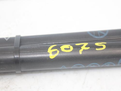 Tailgate lift support FORD FOCUS IV (HN) 1.5 EcoBlue | BP17133225C138 