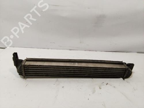 Used Intercooler SEAT IBIZA IV (6J5, 6P1) [2008-2017]  29588353