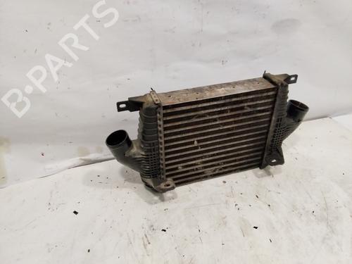 Intercooler NISSAN CABSTAR E (TL_, VL_)  | BP23848273M30 