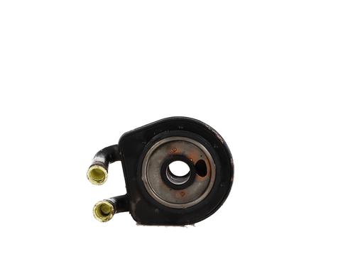 Radiateur D'huile RENAULT LAGUNA II (BG0/1_) 1.9 dCi (107 hp) 30813508
