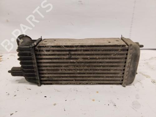 Intercooler FIAT SCUDO Van (270_, 272_) 2.0 D Multijet (128 hp) 25714272