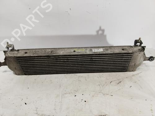 Ladeluftkühler für Ladeluftkühler NISSAN QASHQAI I (J10, NJ10) [2006-2015] 34625171 34625171