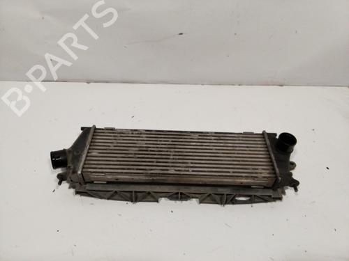 Intercooler RENAULT TRAFIC II Platform/Chassis (EL)  | BP28693759M30 
