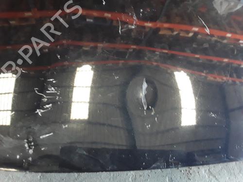 Hood RENAULT MEGANE II (BM0/1_, CM0/1_) 1.5 dCi (BM1E, CM1E) | BP8628672C1 
