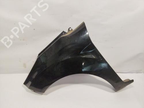 Left front fenders FORD FIESTA VI (CB1, CCN) 1.25 | BP24937424C41 