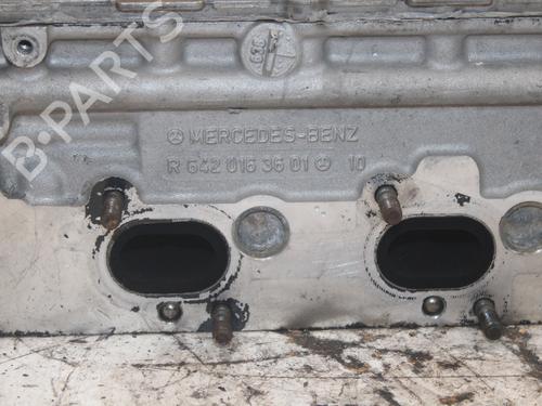 Cylinder head MERCEDES-BENZ VIANO (W639)  | BP19422301M5 