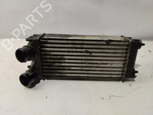 Intercooler CITROËN BERLINGO MULTISPACE (B9) 1.6 HDi 90 (90 hp) 29905528
