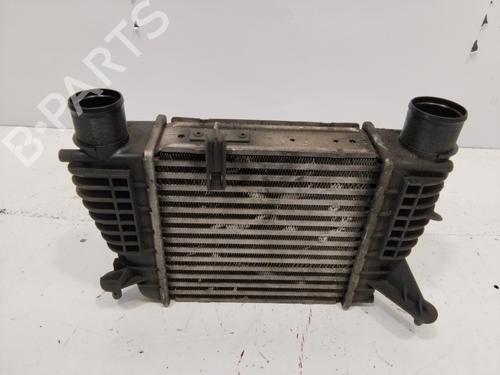 Intercooler RENAULT CLIO III (BR0/1, CR0/1)  | BP27363007M30 