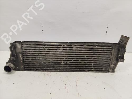 Used Intercooler RENAULT MEGANE II Saloon (LM0/1_) 1.9 dCi (LM0G, LM1G, LM2C) (120 hp) 27392972