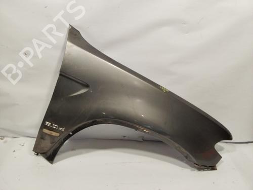 Right front fenders BMW X5 (E53)  | BP25469913C42 