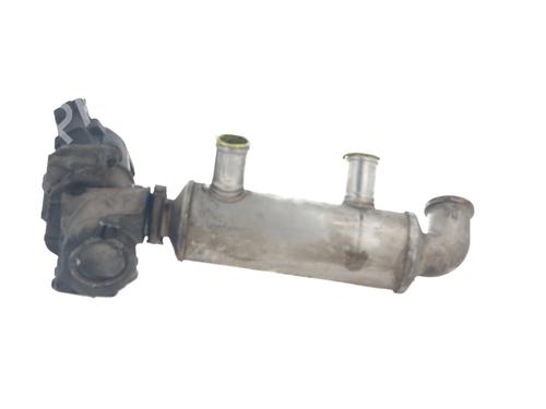 Used Egr CITROËN NEMO Box Body/MPV (AA_) 1.4 HDi (68 hp) 31096012