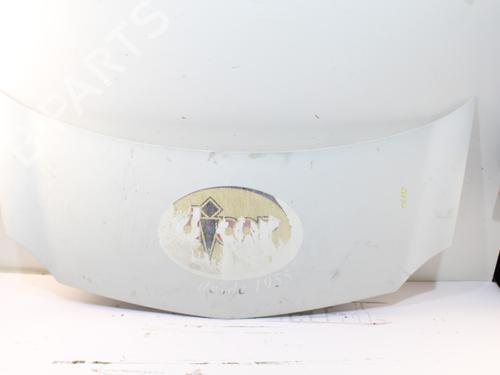 Used Hood RENAULT KANGOO / GRAND KANGOO II (KW0/1_) 1.5 dCi 70 (KW0V, KW0A) (68 hp) 16448534