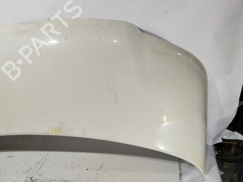 Hood VW TRANSPORTER T5 Bus (7HB, 7HJ, 7EB, 7EJ)  | BP31700667C1 