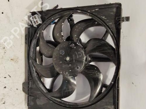 Radiator fan CITROËN C4 III (BA_, BB_, BC_)  | BP25467212M35 