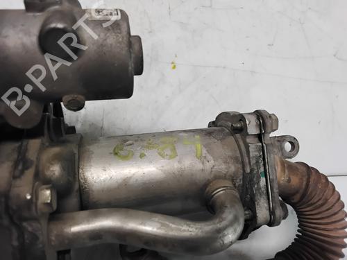Egr RENAULT CLIO III (BR0/1, CR0/1) 1.5 dCi (BR17, CR17) | BP28542129M69