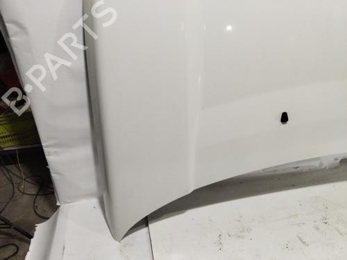 Hood LAND ROVER FREELANDER 2 (L359) | BP30927012C1