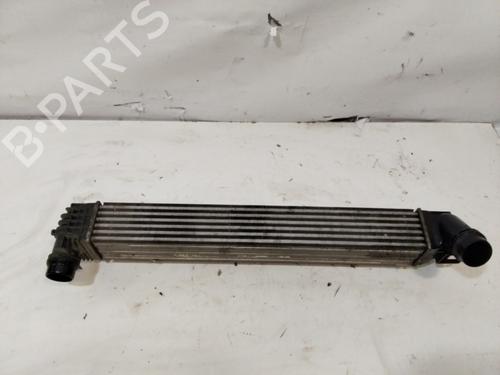 Intercooler RENAULT MEGANE III Hatchback (BZ0/1_, B3_) 1.2 TCe (BZ16, BZ28) | BP29464161M30 