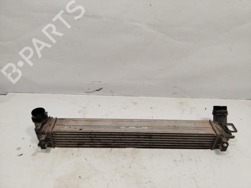 Intercooler RENAULT MEGANE III Grandtour (KZ0/1)  | BP28544360M30 