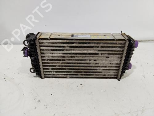 Used Intercooler PEUGEOT 2008 II (UD_, US_, UY_, UJ_, UR_, UC_) [2019-2025]  31154064