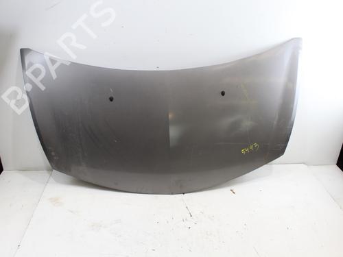 Hood RENAULT CLIO III (BR0/1, CR0/1) 1.5 dCi (C/BR0G, C/BR1G) | BP16708552C1 