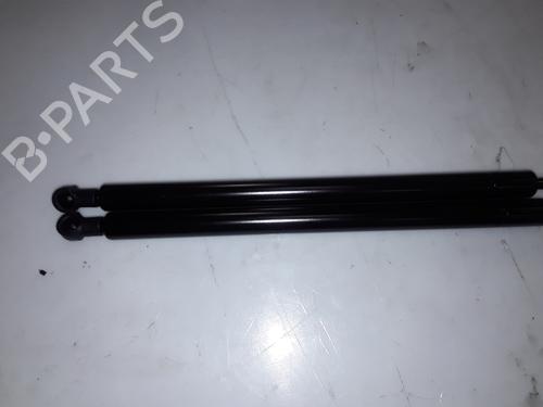 Tailgate lift support BMW X5 (E53) 3.0 d | BP14054296C138 