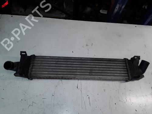 Intercooler FORD FOCUS C-MAX (DM2) [2003-2007]  9687385