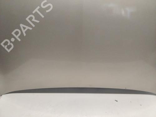 Hood RENAULT MEGANE II (BM0/1_, CM0/1_) 1.9 dCi | BP22697656C1 