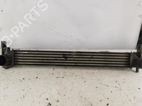 Intercooler Intercooler SEAT IBIZA IV (6J5, 6P1) [2008-2017] 33817949 33817949