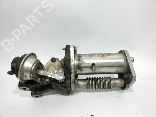 Egr DACIA SANDERO II  | BP10647294M69 