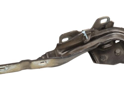 Hinge/Door check strap ALFA ROMEO GIULIETTA (940_)  | BP29399081C146 