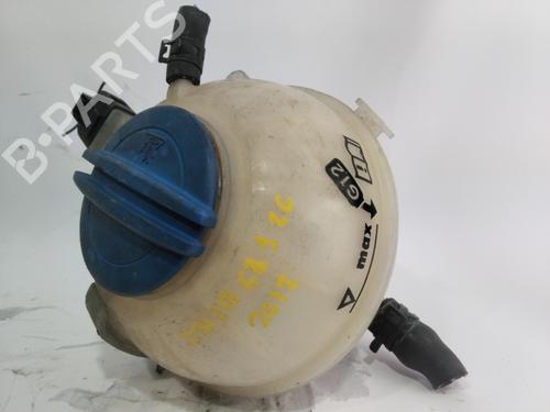 Used Expansion tank SEAT IBIZA IV (6J5, 6P1) [2008-2017]  24372207