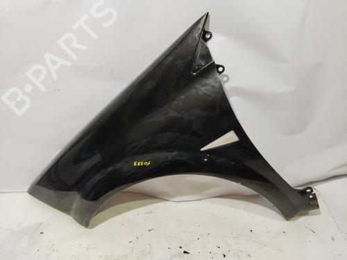 Used Left front fenders RENAULT MEGANE II (BM0/1_, CM0/1_) [2001-2012]  30436720