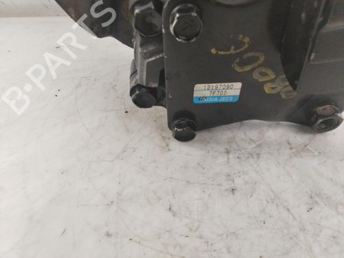 Steering pump NISSAN TERRANO II (R20)  | BP22617825M99 