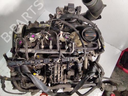 Engine SEAT IBIZA IV (6J5, 6P1) 1.6 TDI | BP25651820M1 