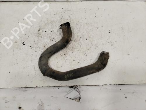 Pipe PEUGEOT 3008 II SUV (MC_, MR_, MJ_, M4_)  | BP29721590M125 