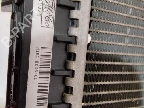 Water radiator FORD ECOSPORT 1.0 EcoBoost | BP29550032M31 