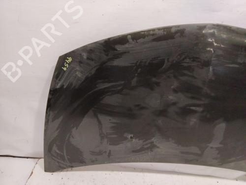Hood RENAULT CLIO III (BR0/1, CR0/1)  | BP28085979C1 