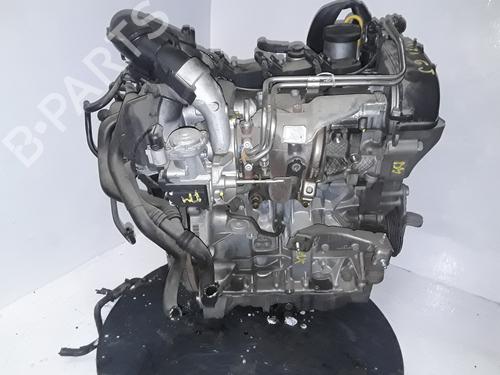 Engine VW POLO V (6R1, 6C1)  | BP16857381M1 