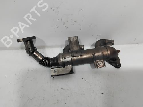 Egr SEAT IBIZA III (6L1)  | BP29990427M69