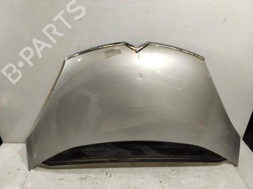 Hood CITROËN C4 Picasso I MPV (UD_)  | BP19095977C1 