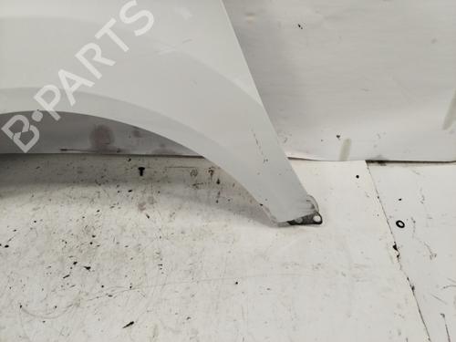 Left front fenders FORD TRANSIT CONNECT V408 Box Body/MPV  | BP29547650C41 