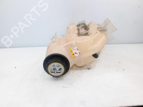 Expansion tank LAND ROVER DISCOVERY III (L319) 2.7 TD 4x4 | BP17720113C120 