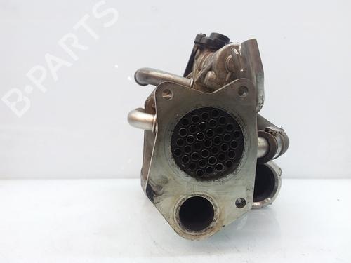 Egr RENAULT MEGANE III Hatchback (BZ0/1_, B3_) 1.5 dCi (BZ09, BZ0D, BZ1W, BZ29, BZ14) | BP9800551M69